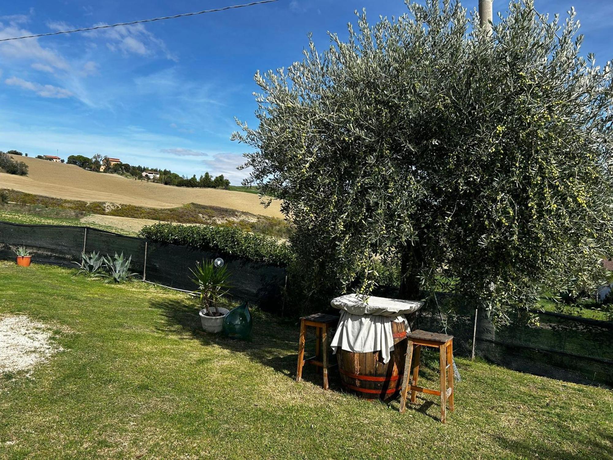 Casa Degli Ulivi Villa Tolentino Exterior photo